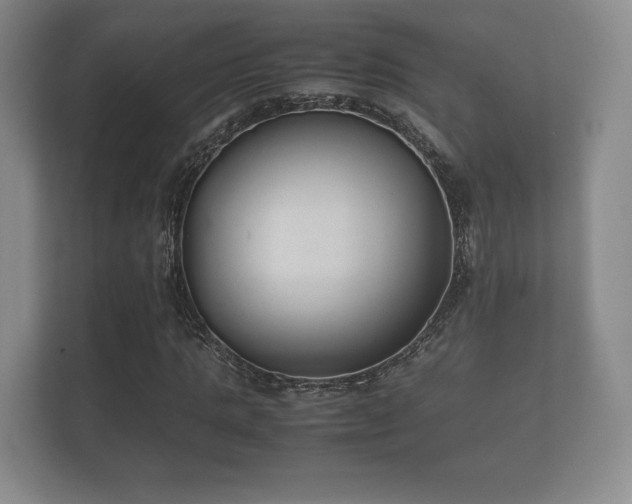 X0000112170821200908141304