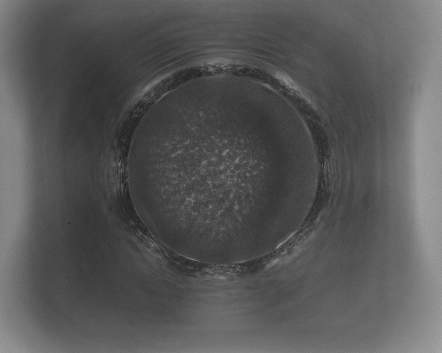 X0000112170822200908141304