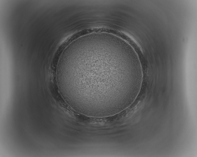 X0000112170823200908141304