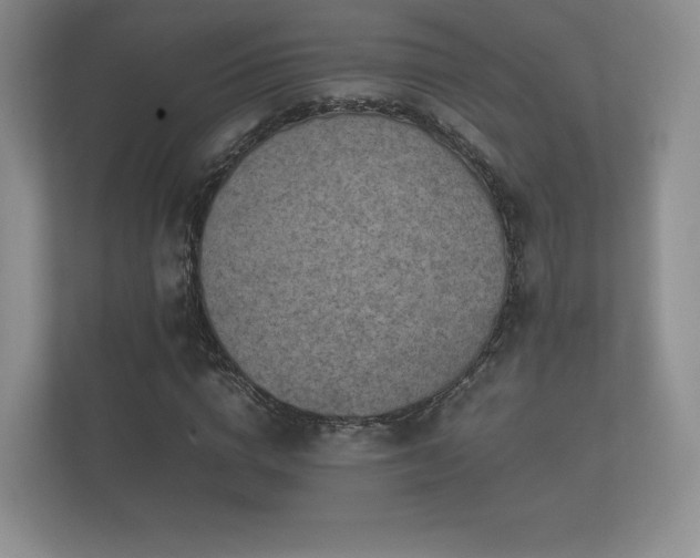 X0000112170824200908141304