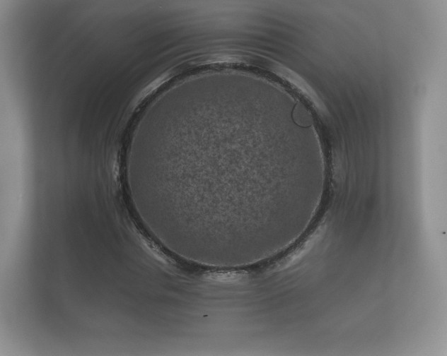 X0000112170826200908141304