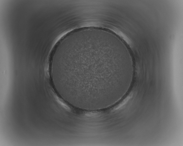 X0000112170830200908141304