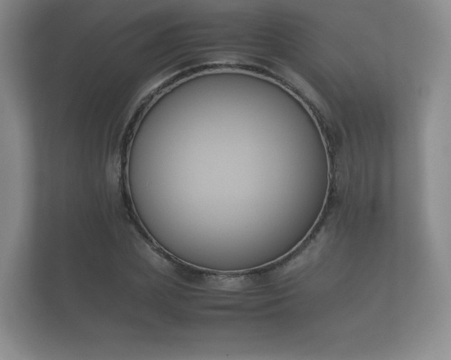 X0000112170831200908141304