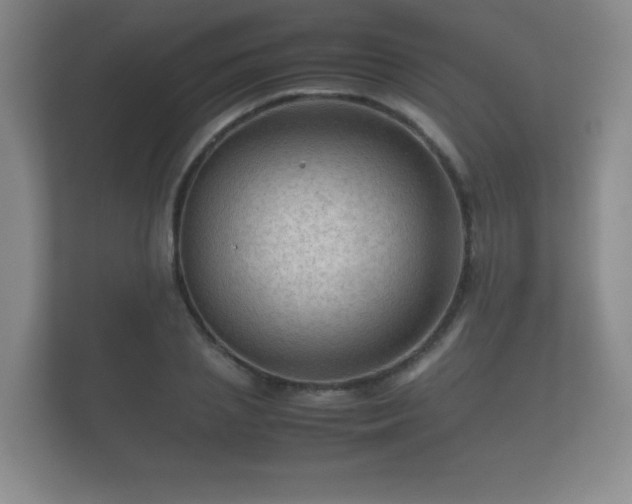 X0000112170837200908141304