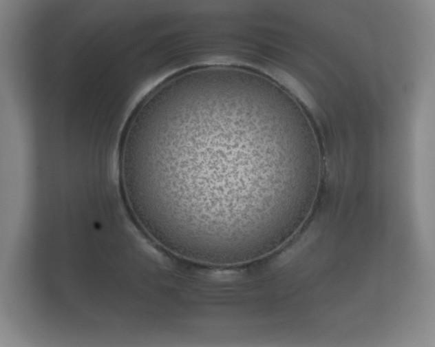 X0000112170839200908141304