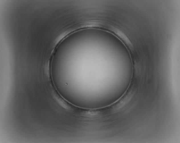 X0000112170842200908141304