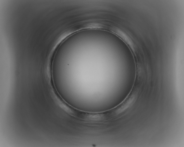 X0000112170843200908141304