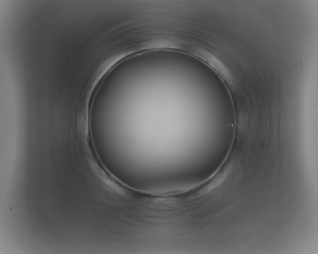 X0000112170844200908141304