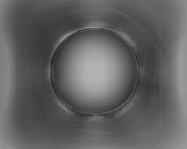 X0000112170846200908141304