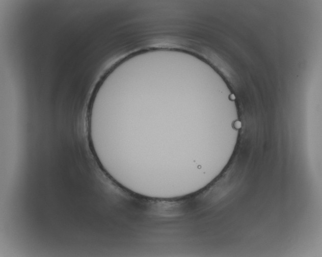 X0000112170848200908141304