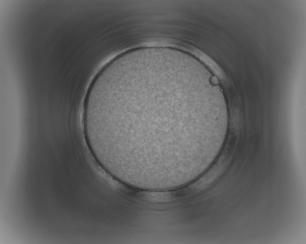 X0000112170856200908141304