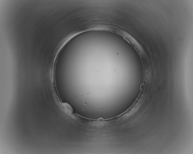 X0000112170860200908141304