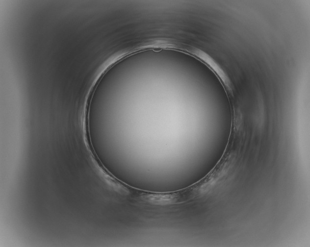 X0000112170861200908141304