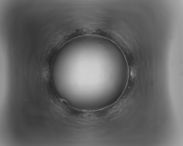 X0000112170867200908141304