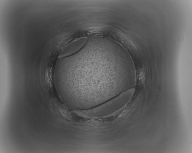 X0000112170868200908141304