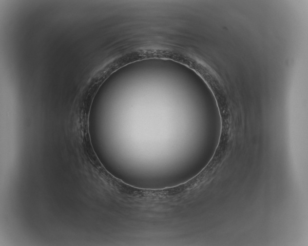 X0000112170870200908141304