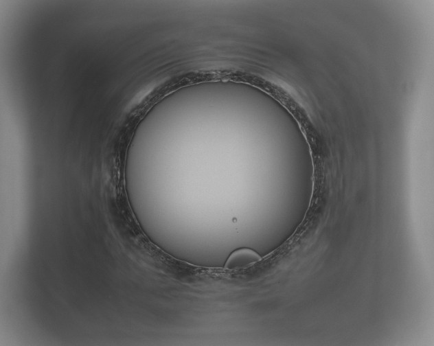 X0000112170871200908141304