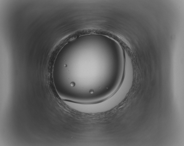 X0000112170872200908141304