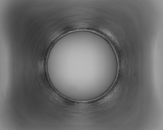 X0000112170873200908141304