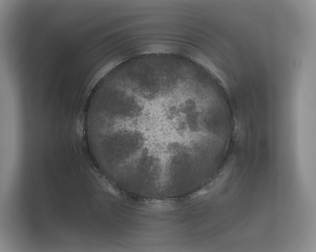 X0000112170874200908141303