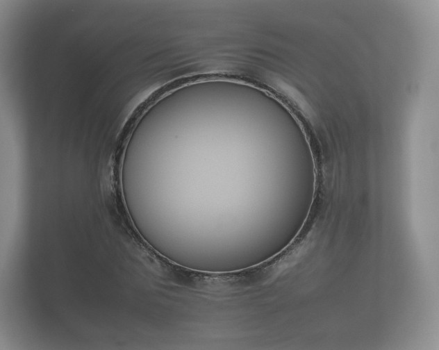 X0000112170875200908141303