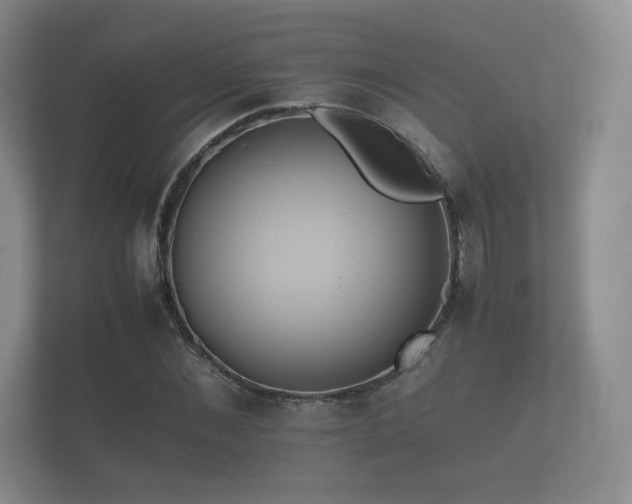 X0000112170876200908141303