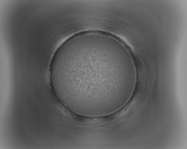 X0000112170879200908141303