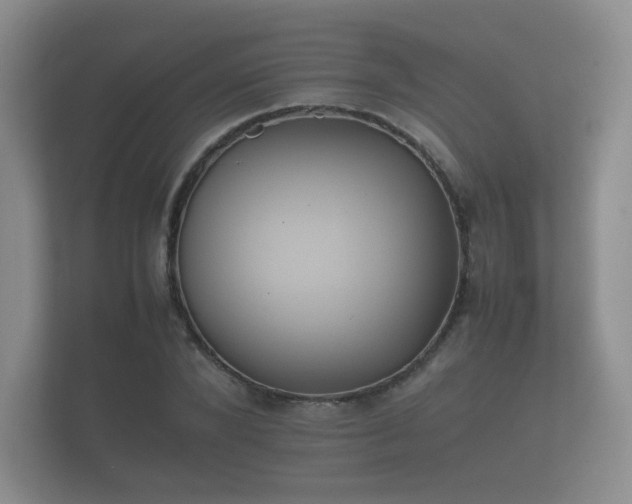 X0000112170880200908141303