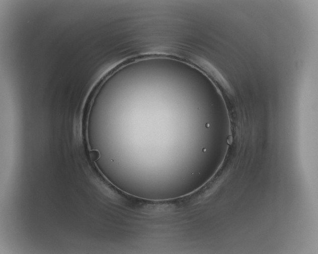 X0000112170884200908141303