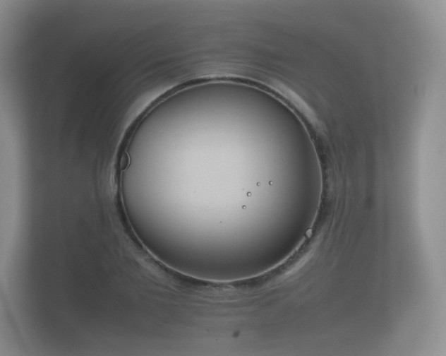 X0000112170885200908141303