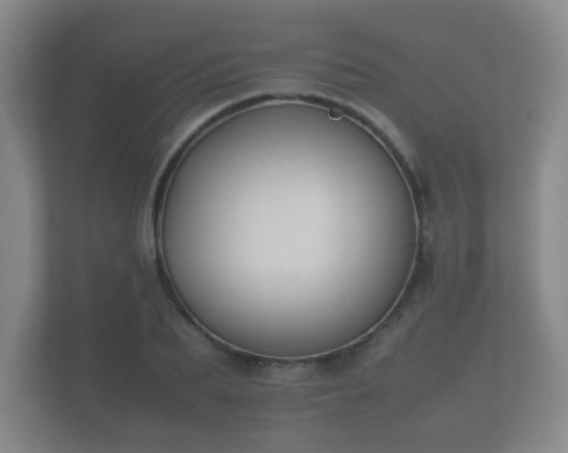 X0000112170887200908141303