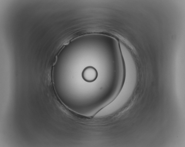 X0000112170889200908141303