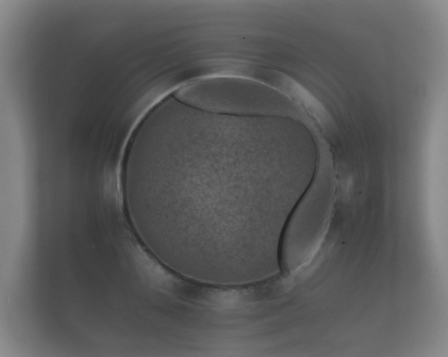 X0000112170892200908141303