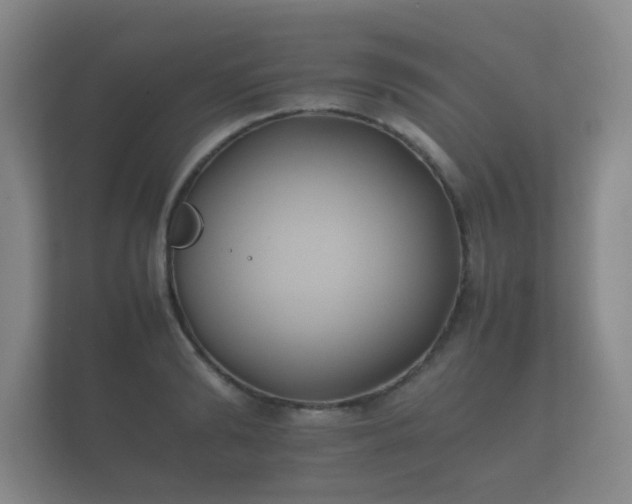 X0000112170894200908141303