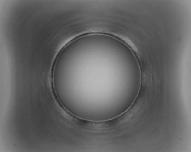 X0000112170895200908141303