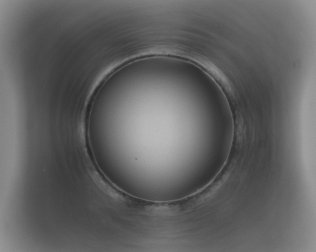 X0000112170896200908141303