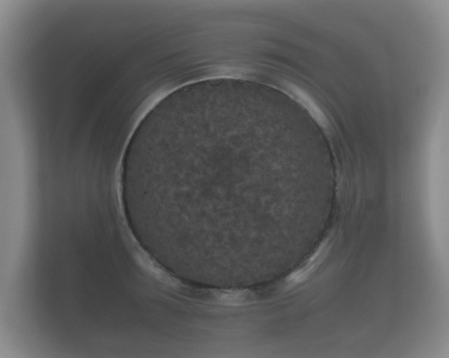 X0000112170899200908141303