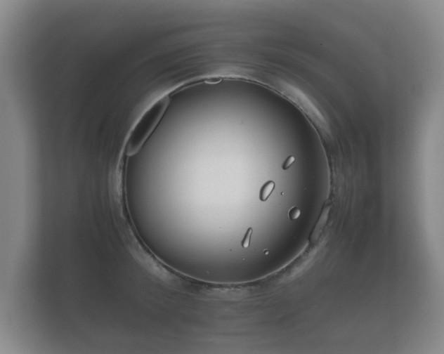 X0000112170900200908141303