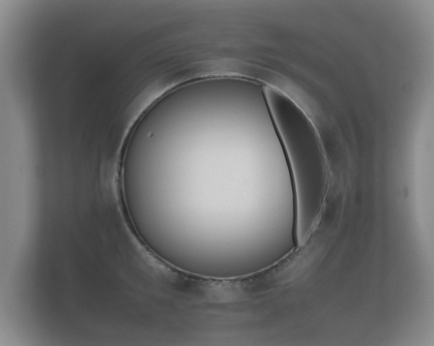 X0000112170901200908141303