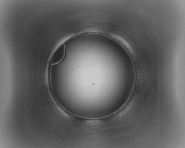 X0000112170902200908141303