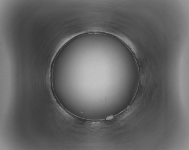 X0000112170903200908141303