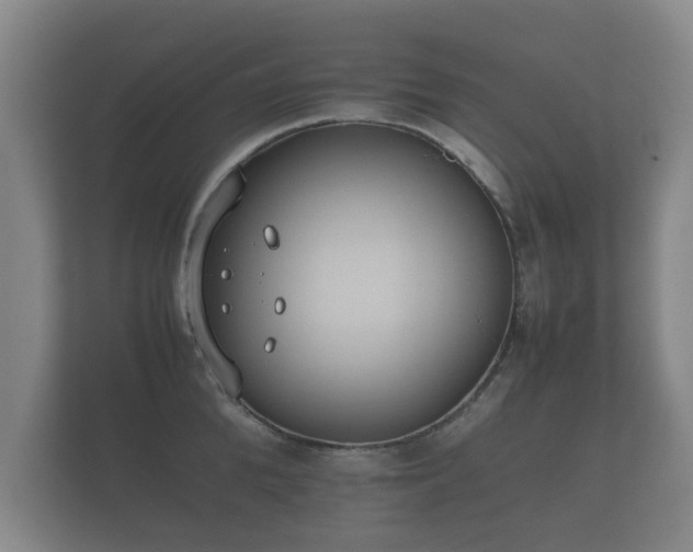 X0000112170904200908141303