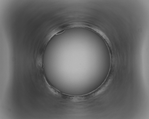 X0000112170905200908141303