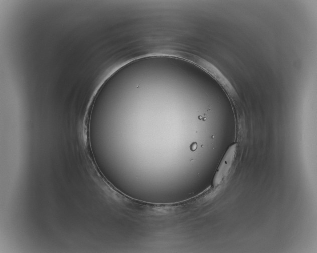 X0000112170908200908141303