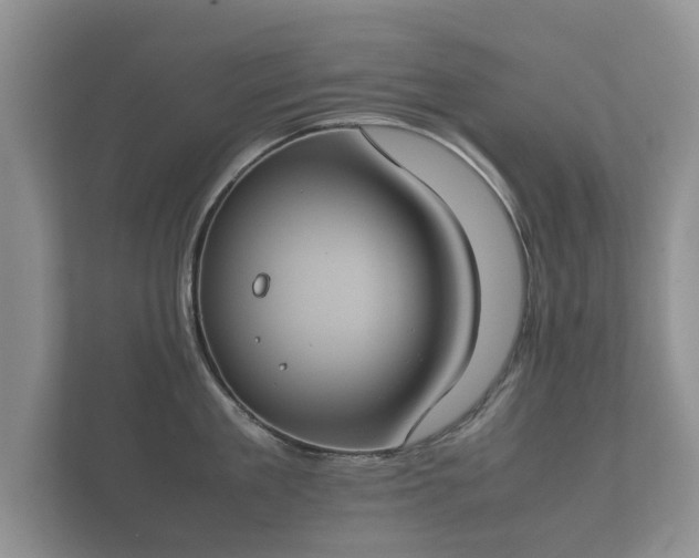 X0000112170909200908141303