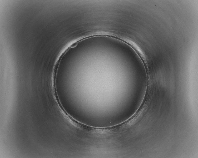 X0000112170910200908141303