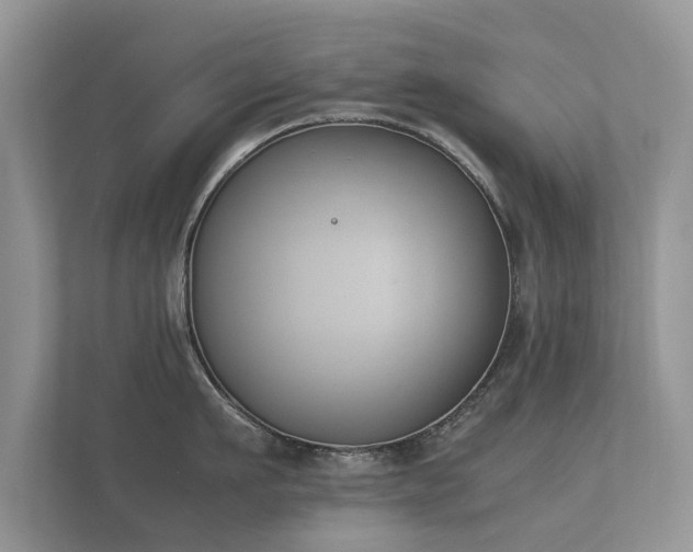 X0000112170911200908141303