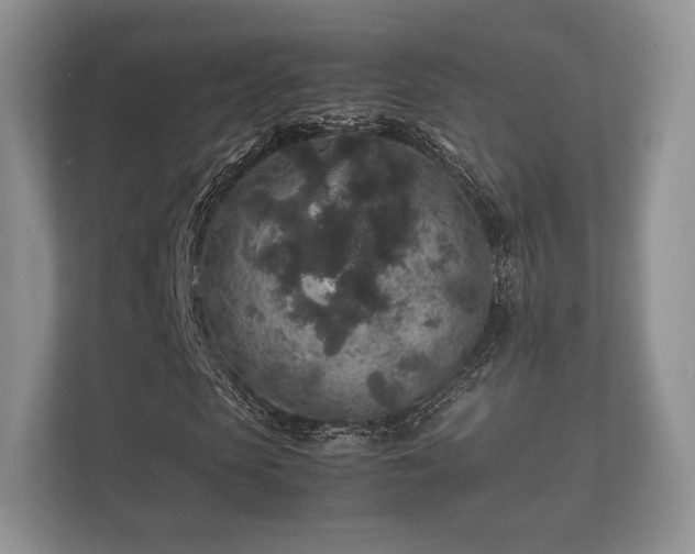 X0000112170913200908141302