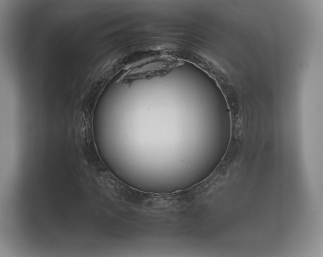 X0000112170917200908141302