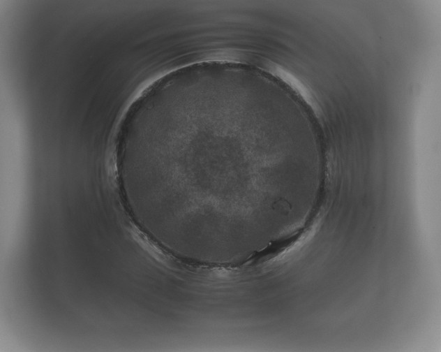 X0000112170923200908141303